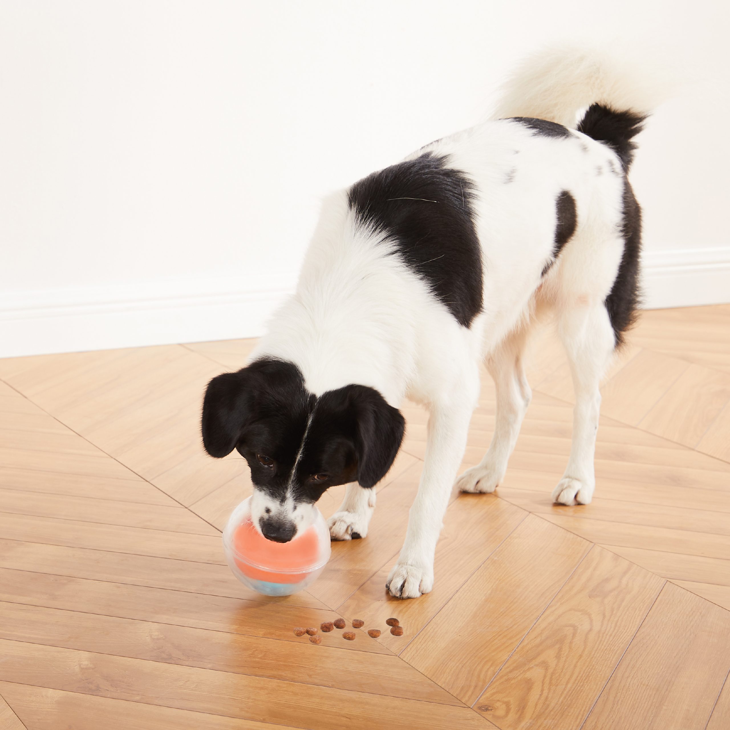 Outward Hound Dog Toy 2PK Dog Treat Maze Dog Tornado Doggy Fun 